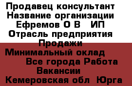 Продавец-консультант › Название организации ­ Ефремов О.В., ИП › Отрасль предприятия ­ Продажи › Минимальный оклад ­ 22 000 - Все города Работа » Вакансии   . Кемеровская обл.,Юрга г.